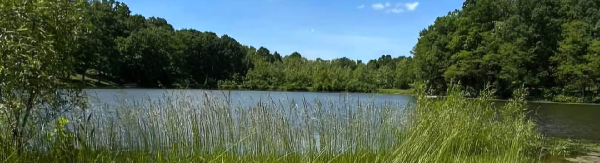 Camp Kadesh